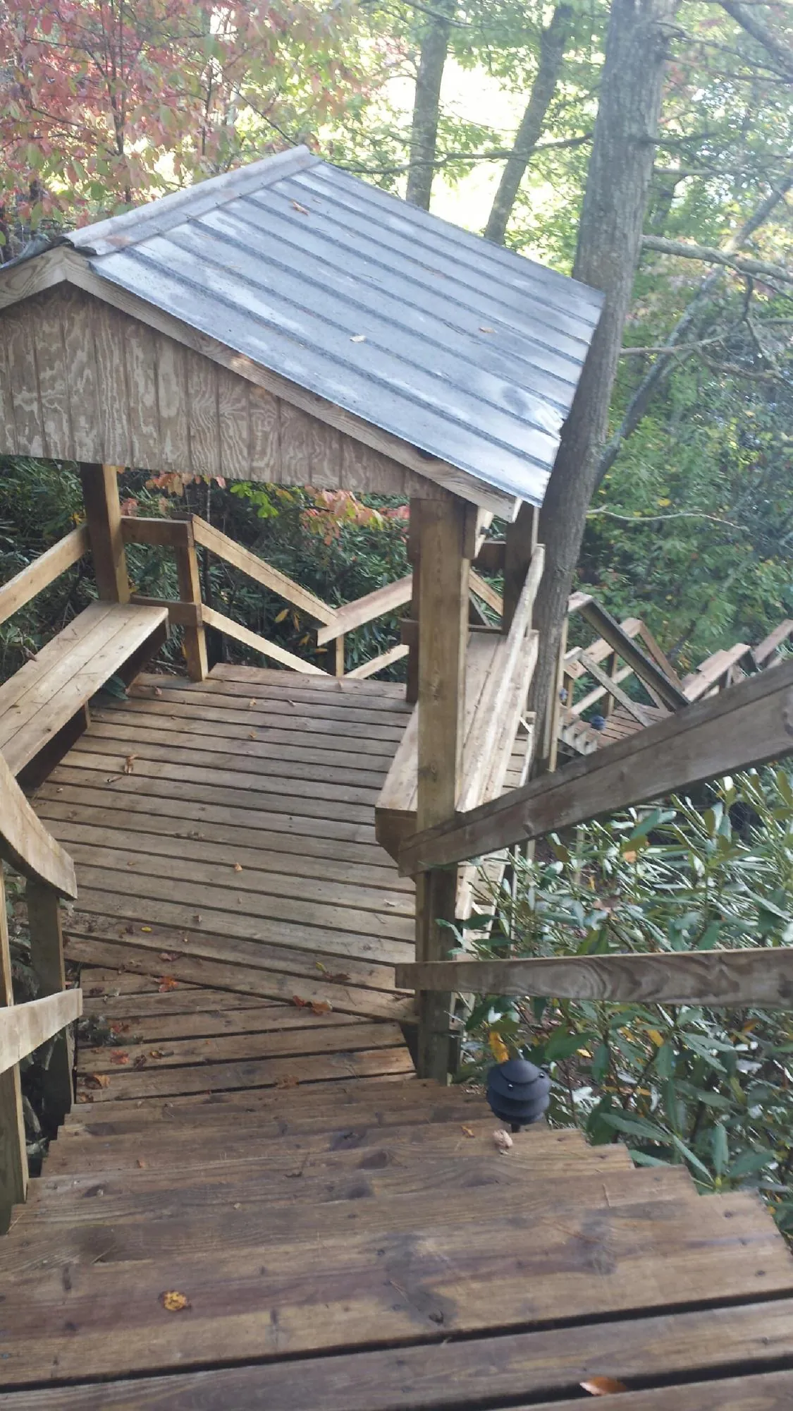 Metal roofed shelter over wooden steps on a wooded walkway — Skylight Repair & Installation work by our crew in Teeds Grove